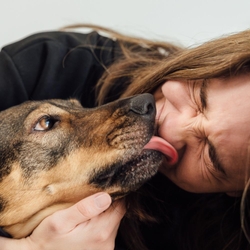 Why Do Dogs Lick You & Lick Other People?