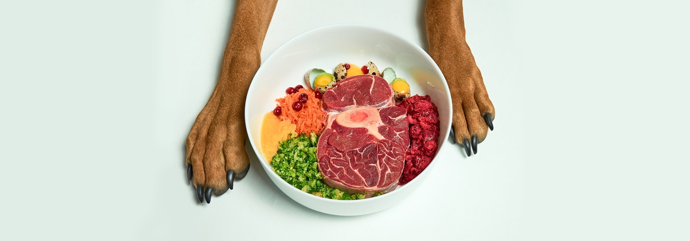 Dog Vitamins: The Ultimate Guide On Vitamins For Your Dog