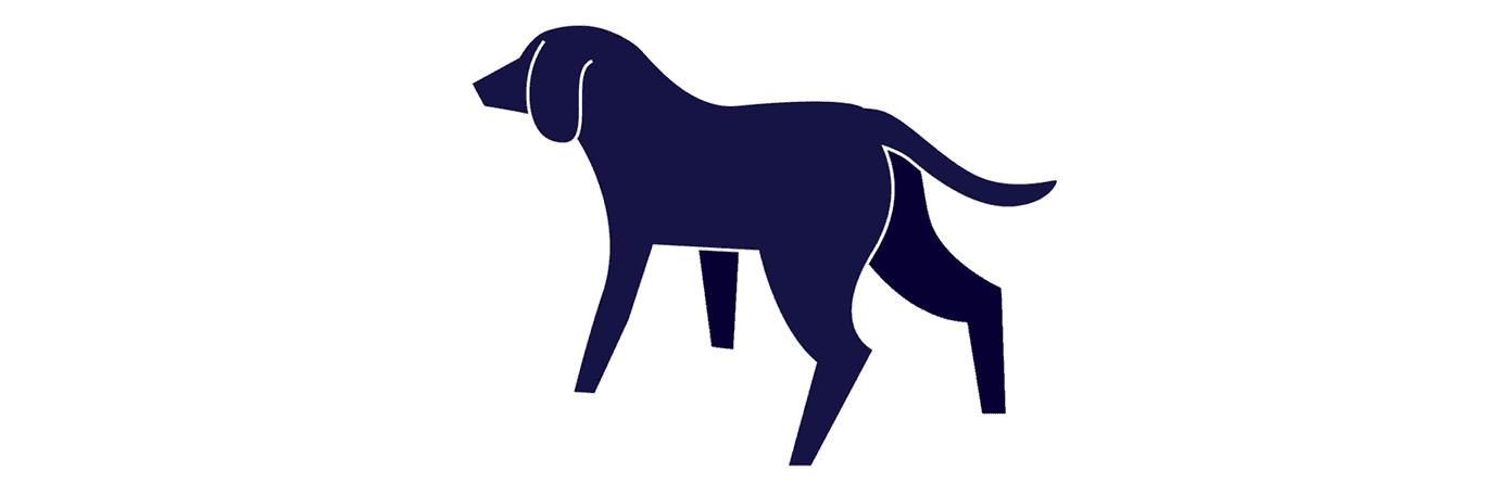 Illustration of dog with tail in neutral position